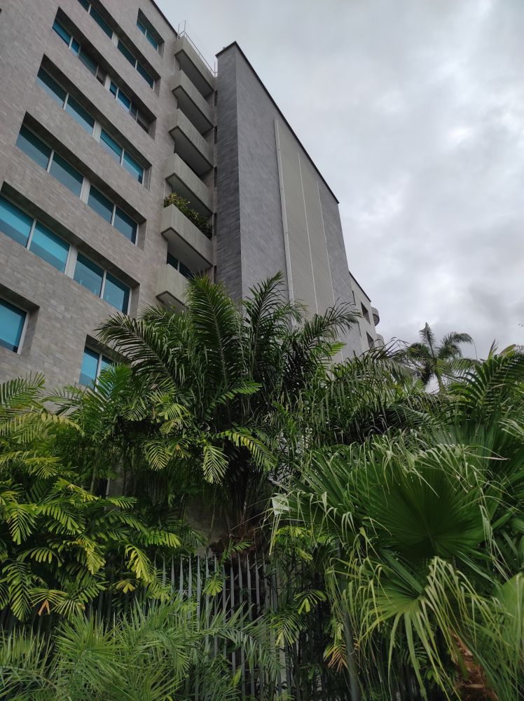 Venta o Alquiler apartamentos en el exclusivo conjunto "Paraso Los Chorros. Alquiler $9-11/m2 Venta $2.220/m2