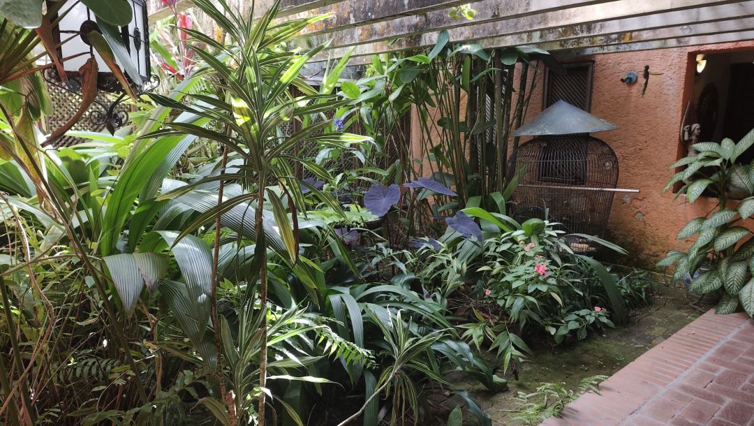 Se Vende para renovar, ubicada en el conjunto privado "Balcones de Anamigra", destacando por su extenso terreno y la posibilidad legal de desarrollar dos unidades de vivienda independientes en el mismo lote. El conjunto cuenta con estricto control de acceso. Vista panor�mica de m�s de 180 grados de la ciudad y el Avila.